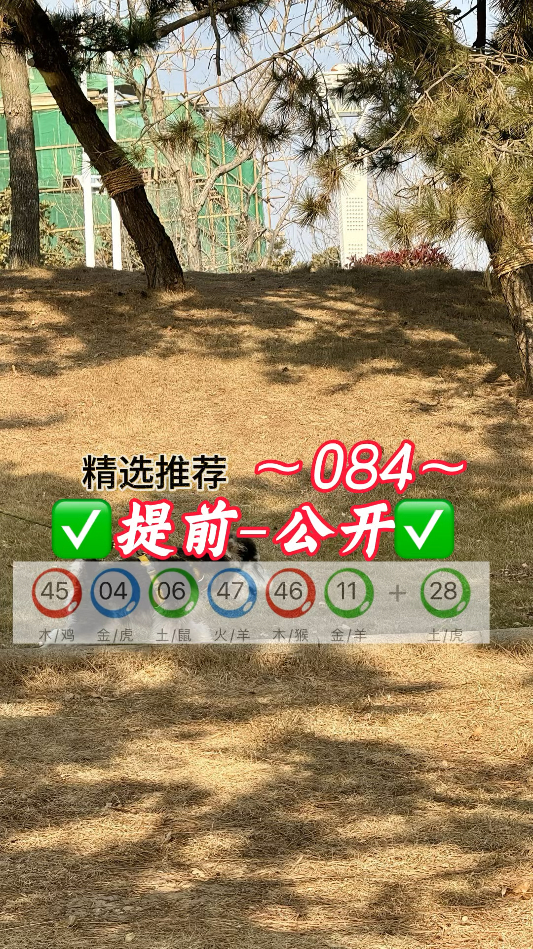 新澳精准正版免费大全