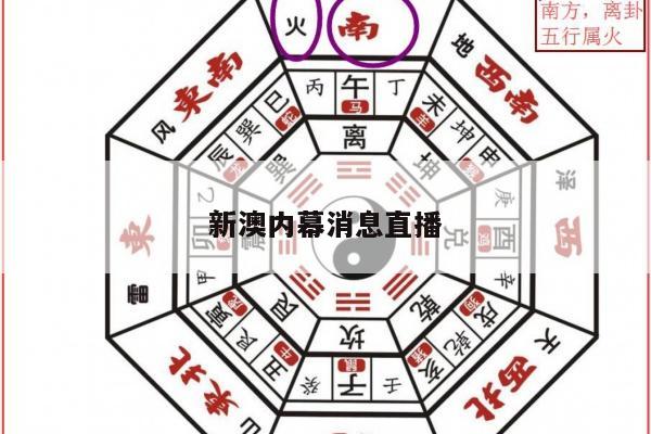新澳内幕消息直播
